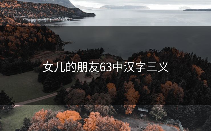 女儿的朋友63中汉字三义