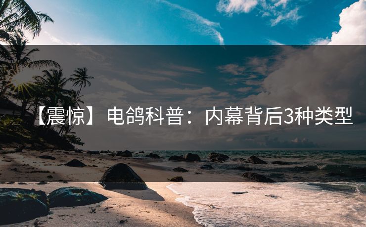 【震惊】电鸽科普：内幕背后3种类型