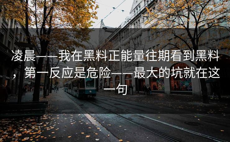 凌晨——我在黑料正能量往期看到黑料,第一反应是危险——最大的坑就在这一句