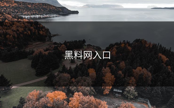 黑料网入口