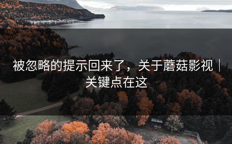 被忽略的提示回来了,关于蘑菇影视|关键点在这 被忽略的提示回来了,关于蘑菇影视|关键点在这